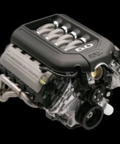 Terminator X MPFI for Ford Engines